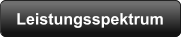 Leistungsspektrum
