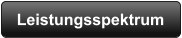 Leistungsspektrum