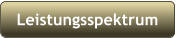 Leistungsspektrum