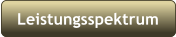 Leistungsspektrum